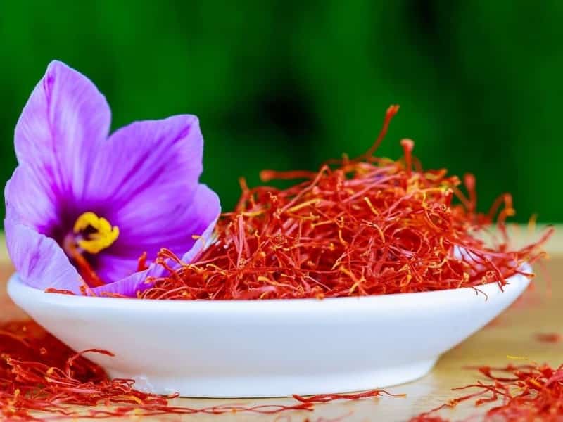 خرید و فروش زعفران پوشالی درجه یک با شرایط فوق العاده